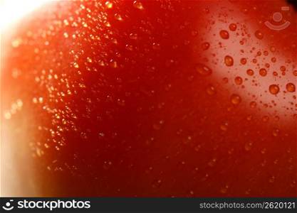 Red wet tomato macro over green background at studio