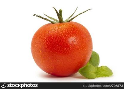 red wet tomato with basil. red wet tomato with basil on white background