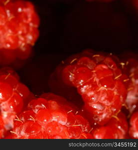 red wild raspberry macro close up