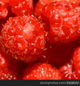 red wild raspberry macro close up