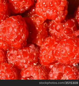 red wild raspberry macro close up