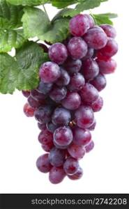 red wine grape, isolated