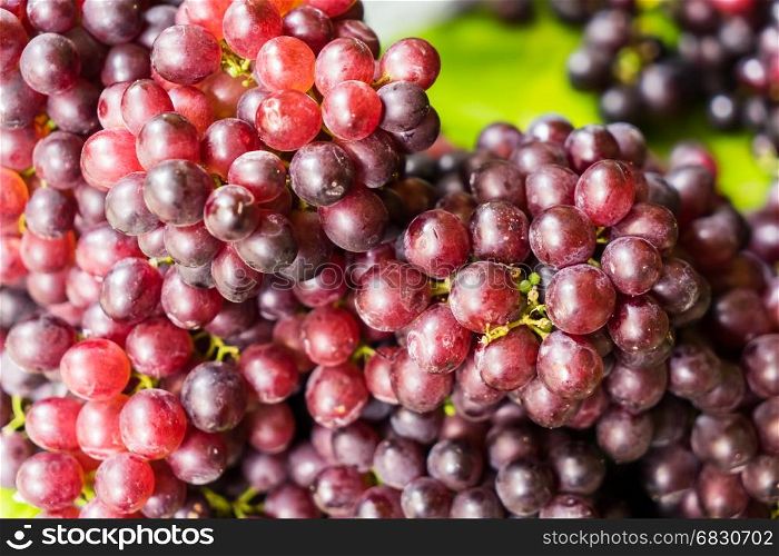 Red wine grapes background, dark grapes, blue grapes , Red Grape, Cardinal Grape , Emperor Grape