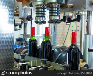 red wine in glass bottling machine at winery