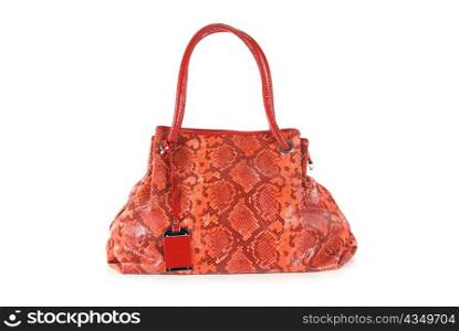 red women bag, fashion of 2011 year isolated on white background