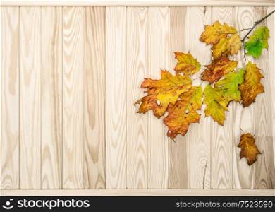 Red yellow leaves on rustic wooden texture. Autumn background