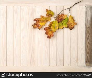Red yellow leaves on wooden texture. Autumn background