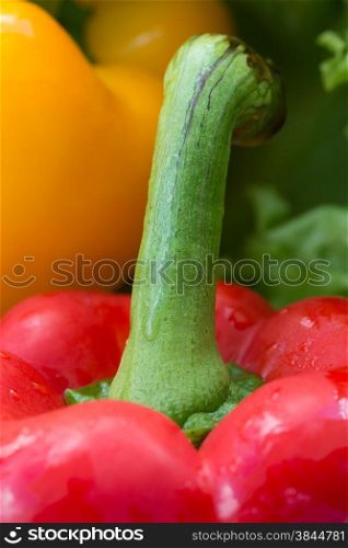 Red Yellow Peppers Representing Bellpepper Fresh And Vegetarian