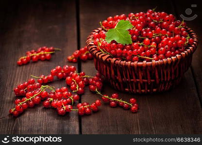 Redcurrant red currant berries in wicker bowl on kitchen table. Redcurrant in wicker bowl on the table