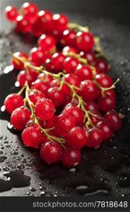 redcurrant with water drops over black