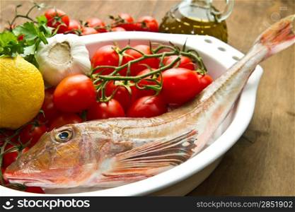 Redfish with tomatoes, parsley, garlic and olve oil