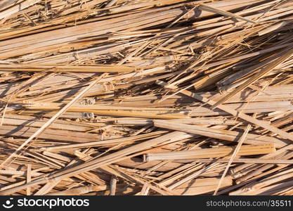 Reed Thatch Detail, Hay Straw Stack Background Texture, Agriculture Natural Abstract Striped Background, Weave, Twisted Twigs, Dried Stalks, Yellow Cane Closeup, Texture of the Dry Reeds, Dry grass