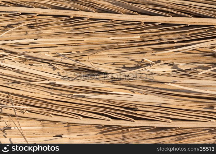 Reed Thatch Detail, Hay Straw Stack Background Texture, Agriculture Natural Abstract Striped Background, Weave, Twisted Twigs, Dried Stalks, Yellow Cane Closeup, Texture of the Dry Reeds, Dry grass