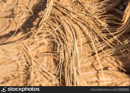 Reed Thatch Detail, Hay Straw Stack Background Texture, Agriculture Natural Abstract Striped Background, Weave, Twisted Twigs, Dried Stalks, Yellow Cane Closeup, Texture of the Dry Reeds, Dry grass