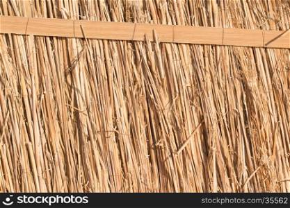 Reed Thatch Detail, Hay Straw Stack Background Texture, Agriculture Natural Abstract Striped Background, Weave, Twisted Twigs, Dried Stalks, Yellow Cane Closeup, Texture of the Dry Reeds, Dry grass