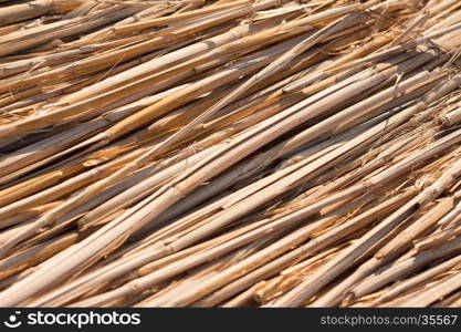 Reed Thatch Detail, Hay Straw Stack Background Texture, Agriculture Natural Abstract Striped Background, Weave, Twisted Twigs, Dried Stalks, Yellow Cane Closeup, Texture of the Dry Reeds, Dry grass