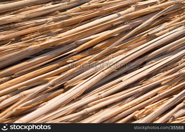 Reed Thatch Detail, Hay Straw Stack Background Texture, Agriculture Natural Abstract Striped Background, Weave, Twisted Twigs, Dried Stalks, Yellow Cane Closeup, Texture of the Dry Reeds, Dry grass