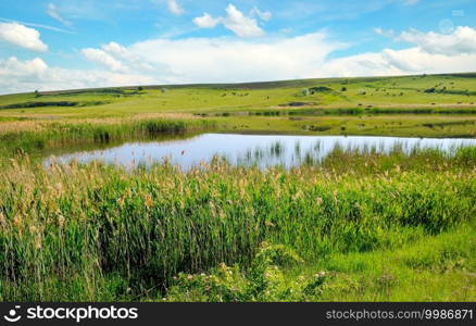 Reeds along the edge of a misty lake below a blue sky in sunlight at sunrise in a spring morning