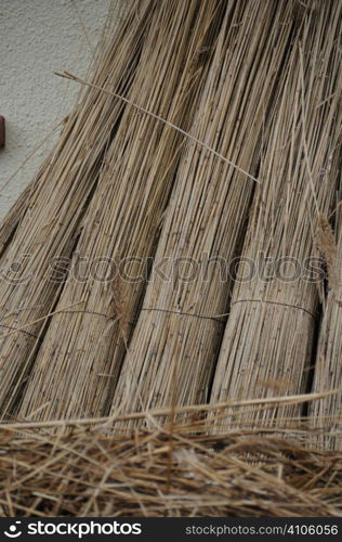 Reeds for thatching cottages