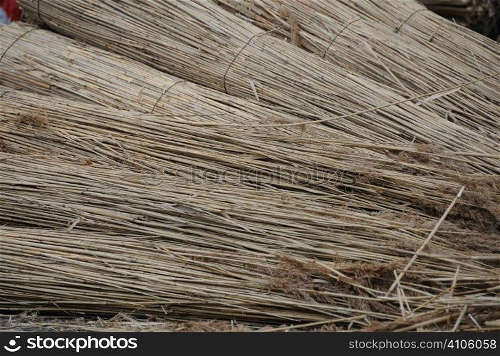 Reeds for thatching cottages