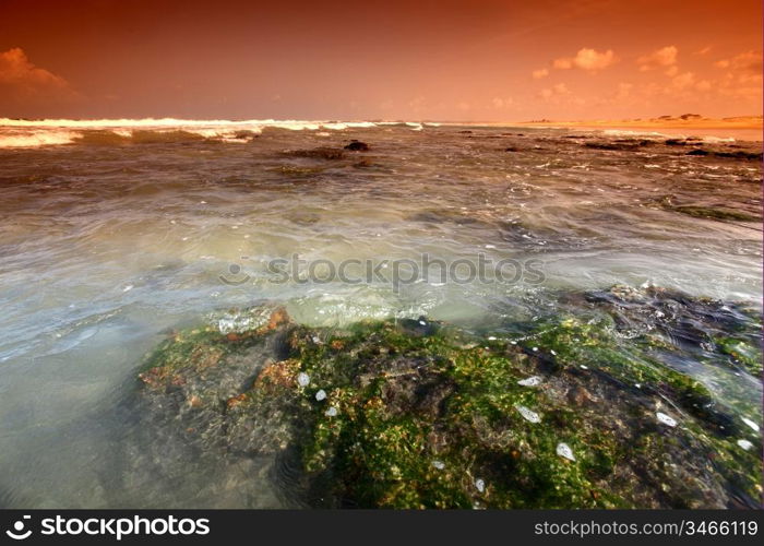 Reef stones an ocean water