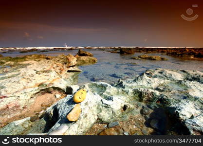 Reef stones an ocean water