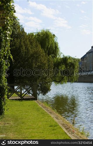 Reflection of a tree in a river, Sarthe River, Le Mans, Sarthe, France