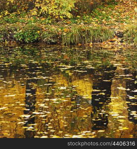 Reflection of autumn trees in water of calm pond