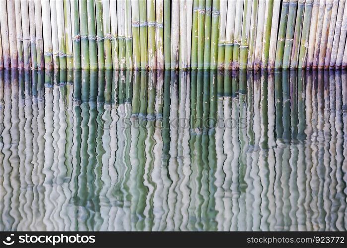 Reflection of bamboo fence