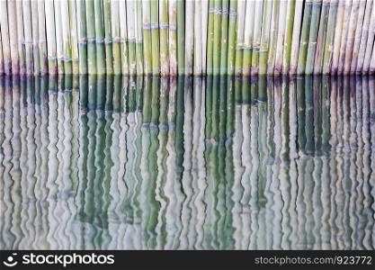 Reflection of bamboo fence