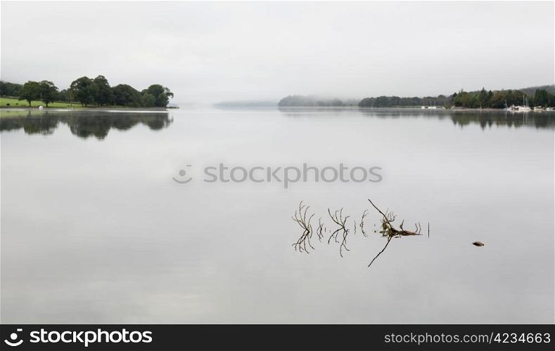 Reflection of branch in still waters of Coniston Water in Lake District