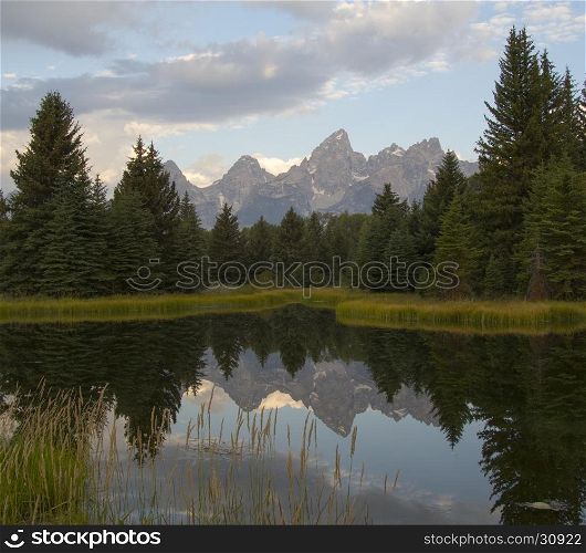 Reflection of Grand Teton and the Teton range in pond with conifer trees bordering
