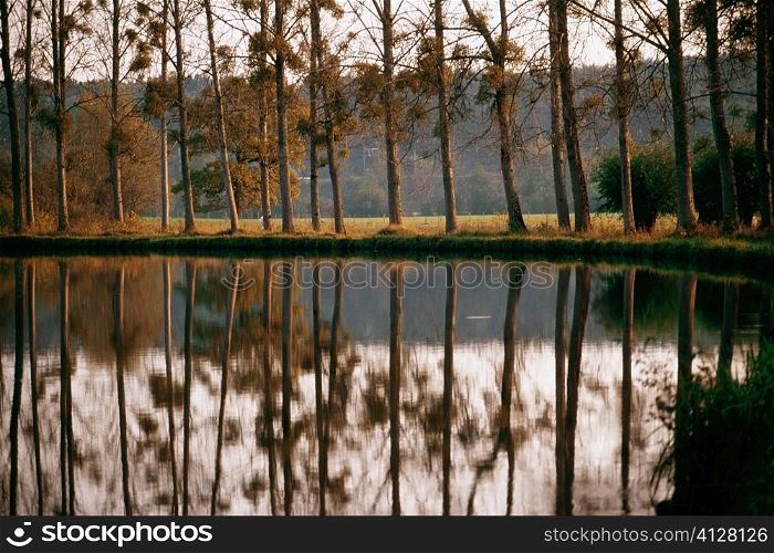 Reflection of multiple trees in Bungundy Canal Lake, France