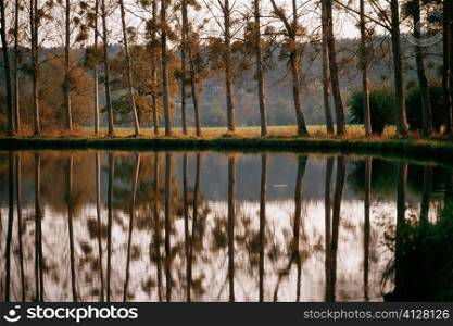 Reflection of multiple trees in Bungundy Canal Lake, France
