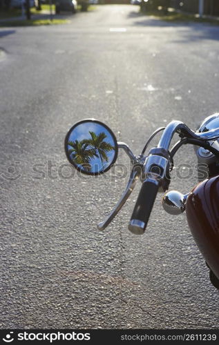Reflection of palm trees in a side view mirror of a motorcycle