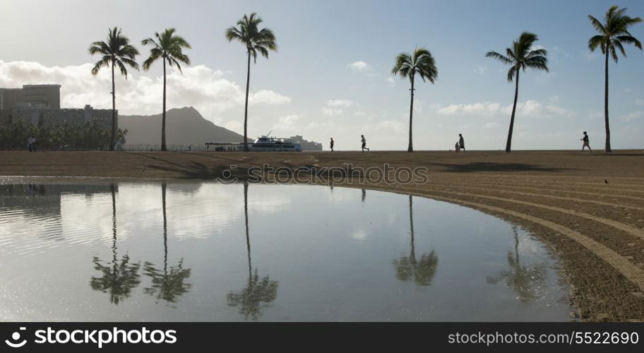 Reflection of palm trees in the Duke Paoa Kahanamoku Lagoon, Waikiki, Honolulu, Oahu, Hawaii, USA