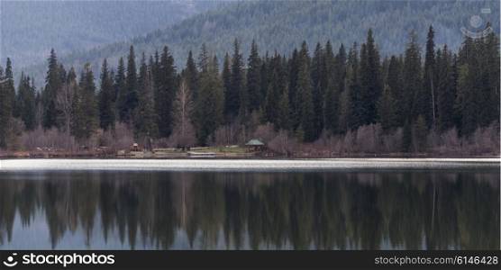 Reflection of pine trees in a lake, British Columbia, Canada