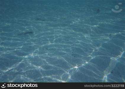 Reflection of Ripples from Underwater