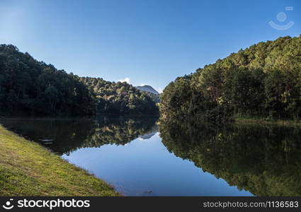 Reflection of the pine forest from the clear water which located around the reservoir of the national park.