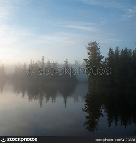 Reflection of tree in a lake, Lake of the Woods, Ontario, Canada