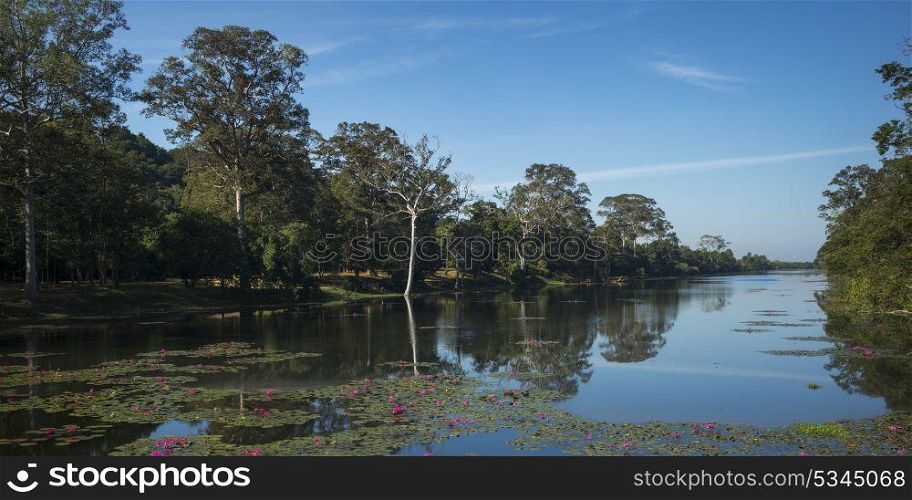 Reflection of trees and clouds on water, Tonle Sap, Siem Reap, Cambodia