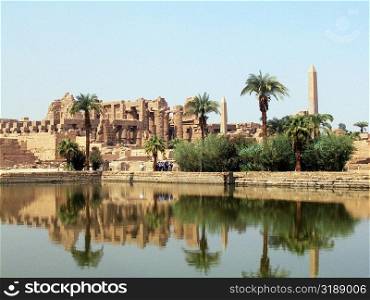 Reflection of trees and temple in water, Temples Of Karnak, Luxor, Egypt