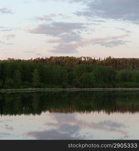 Reflection of trees in a lake, Jasper National Park, Alberta, Canada