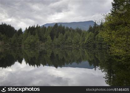 Reflection of trees in calm lake against cloudy sky, West Vancouver, British Columbia, Canada