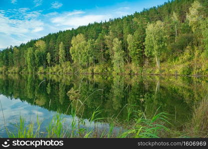 Reflection of trees in mirror of lake