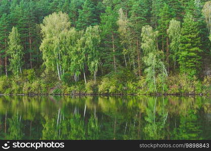 Reflection of trees in mirror of lake