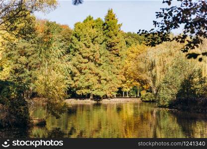 Reflection of trees in the lake. Beautiful landscape on the lake. Beautiful autumn landscape