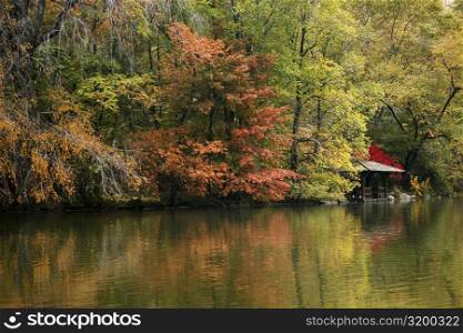 Reflection of trees in water, Central Park, Manhattan, New York City, New York State, USA