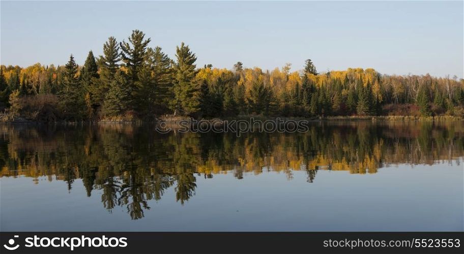 Reflection of trees in water, Kenora, Lake of The Woods, Ontario, Canada
