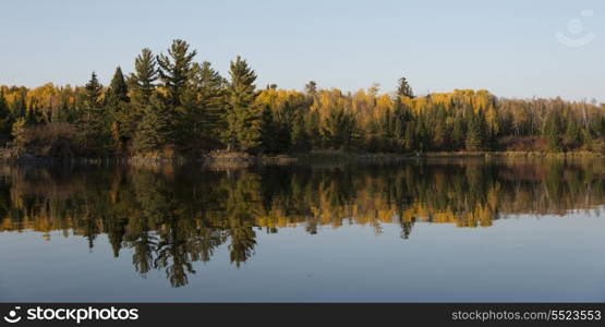 Reflection of trees in water, Kenora, Lake of The Woods, Ontario, Canada